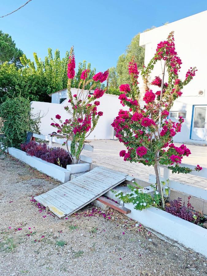 Apollonio Suites & Rooms Faliraki Rhodes Εξωτερικό φωτογραφία